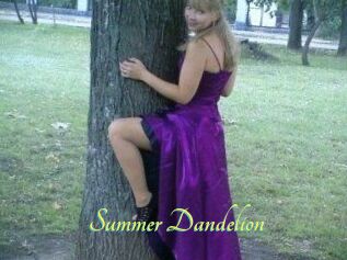 Summer_Dandelion