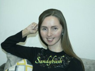 Sandybush