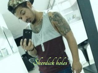 Sherdick_holes