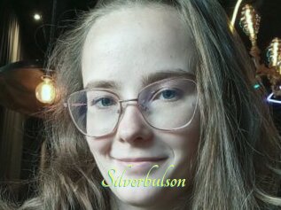 Silverbulson