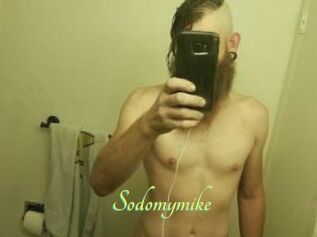 Sodomymike