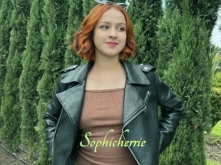 Sophicherrie