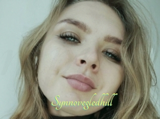 Synnovegledhill