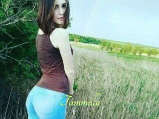 Tammilla_