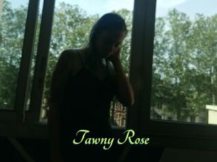 Tawny_Rose