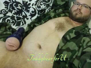 Teddybear_forU