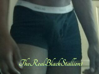 TheRealBlackStallion1