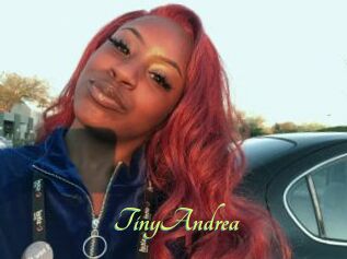 TinyAndrea