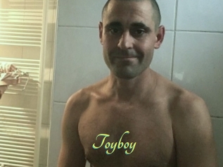 Toyboy