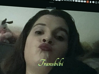 Transbibi