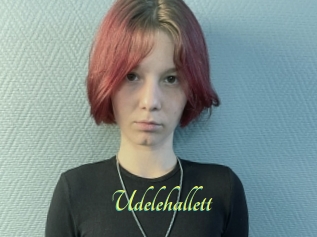 Udelehallett