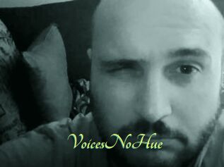 VoicesNoHue