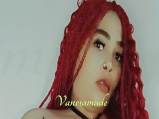 Vanesamude