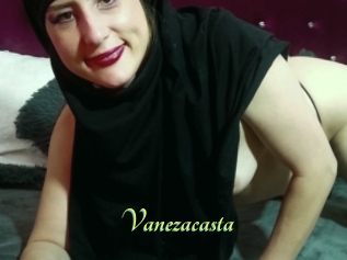 Vanezacasta