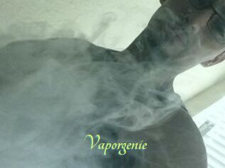 Vapor_genie