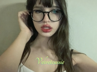 Velvetcassie