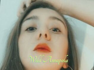 Wild_Amapola