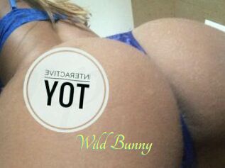 Wild_Bunny_