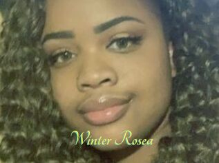 Winter_Rosea