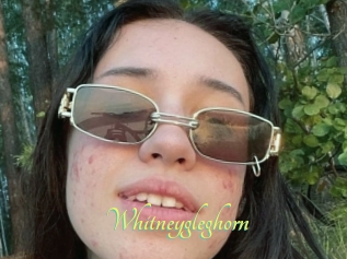 Whitneygleghorn