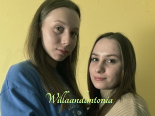 Willaandantonia