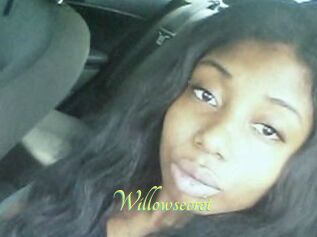 Willow_secret