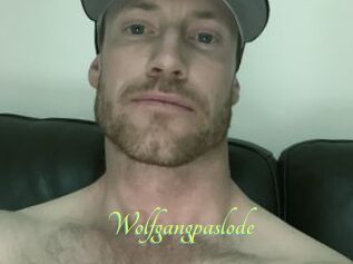 Wolfgangpaslode