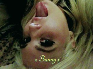 _x_Bunny_x_